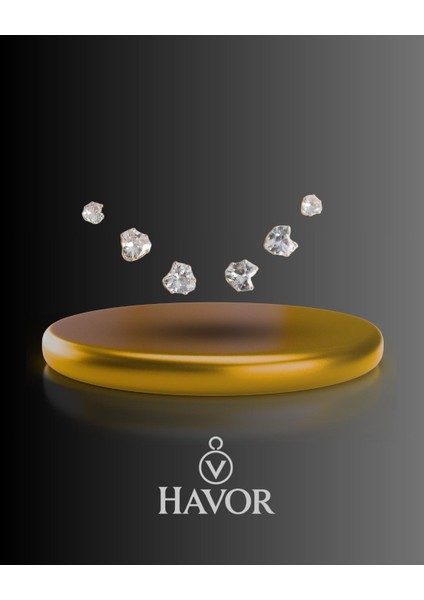 Zirkon Taşlı Kalp Model Kadın Küpe Seti - 316L Çelik, Altın Renk, Şık ve Zarif Tasarım