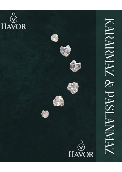 Zirkon Taşlı Kalp Model Kadın Küpe Seti - 316L Çelik, Altın Renk, Şık ve Zarif Tasarım