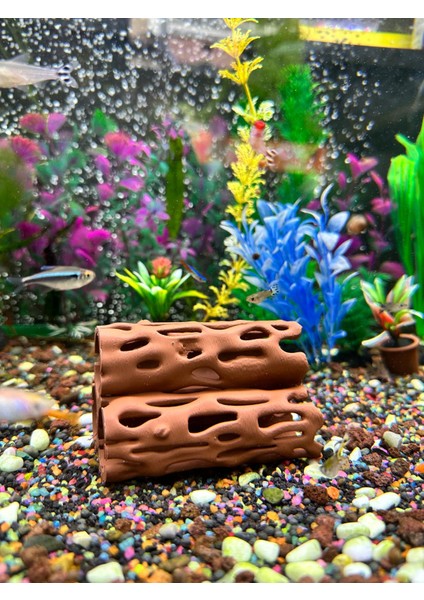 Karides Yuvalığı Akvaryum Dekoru