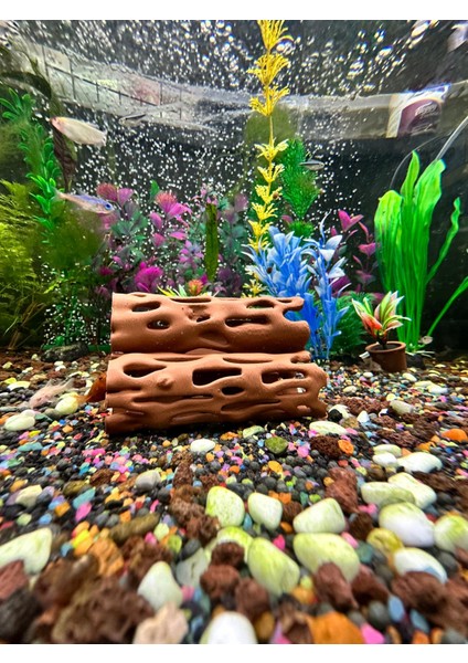 Karides Yuvalığı Akvaryum Dekoru fiyatları