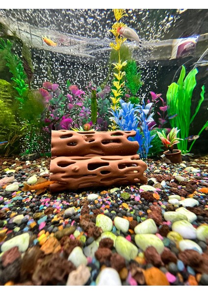 Karides Yuvalığı Akvaryum Dekoru modelleri