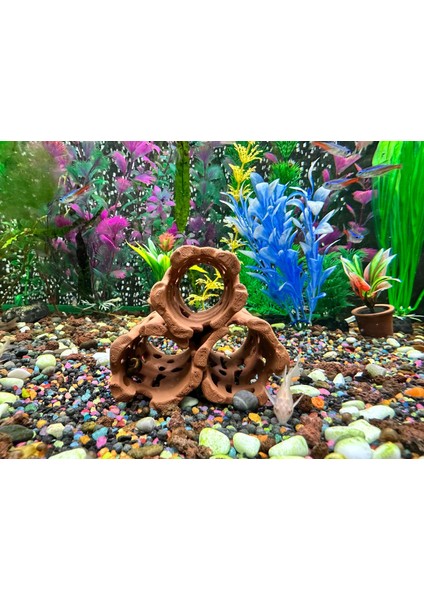 Karides Yuvalığı Akvaryum Dekoru indirimleri
