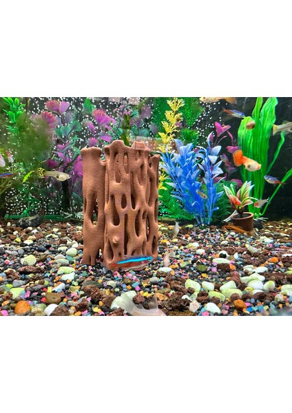 Karides Yuvalığı Akvaryum Dekoru