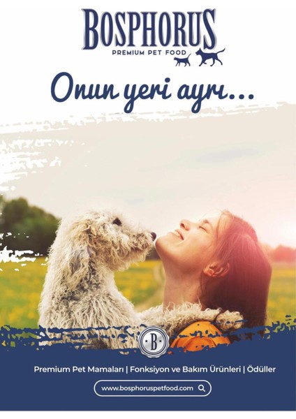 Kuzu Etli Köpek Konservesi 415 gr x 48 Adet (Parça Etli)