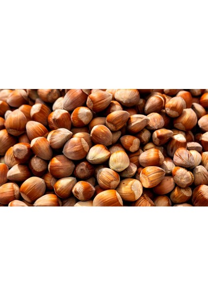 Organık Düzce Yöresi Kavrulmuş Yağlı Fındık 3X500GR. fiyatları