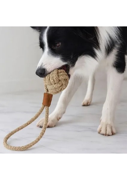 Mikopet Köpek Oyun Topu modelleri