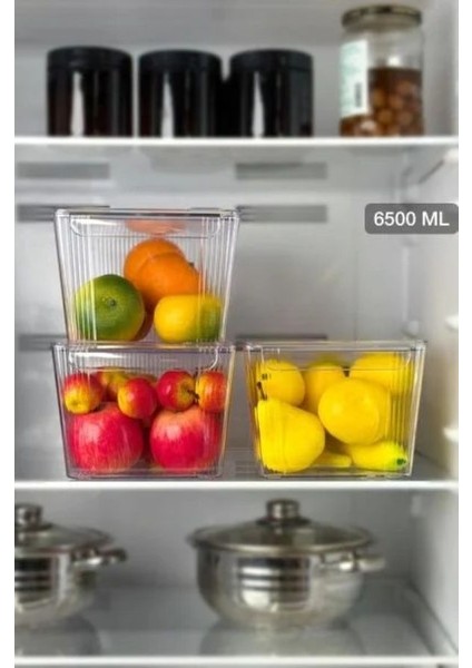 Kapaklı Şeffaf Buzdolabı Organizeri ve Saklama Kabı 6500ML