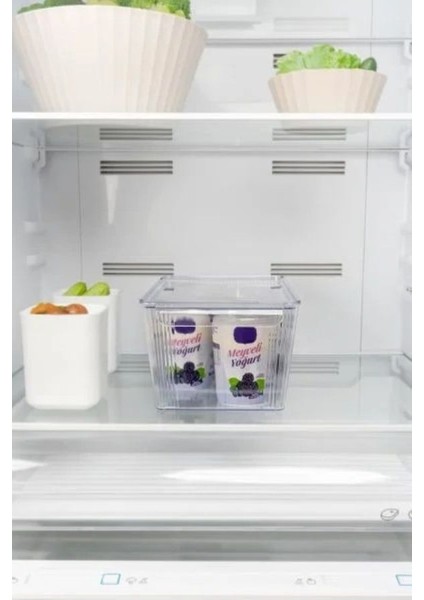 Kapaklı Şeffaf Buzdolabı Organizeri ve Saklama Kabı 6500ML fırsatları