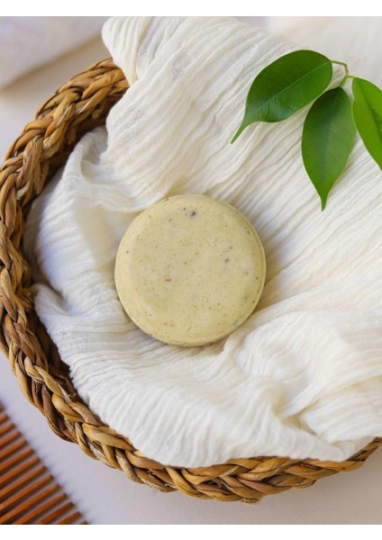 Katı Şampuan modelleri