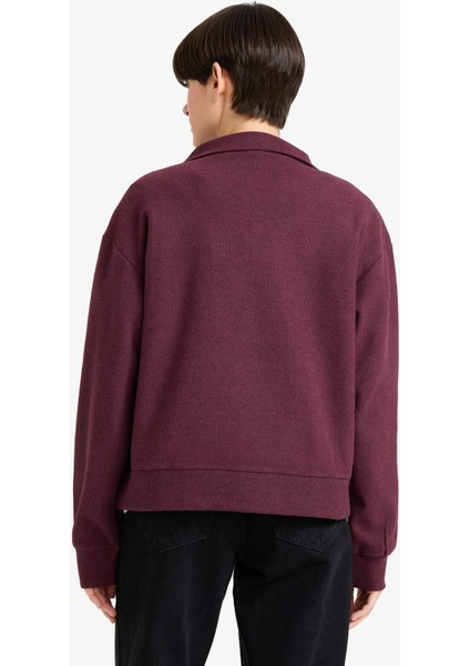 Regular Fit Yarım Fermuarlı Baskılı Sweatshirt F7888AX25WN indirimleri