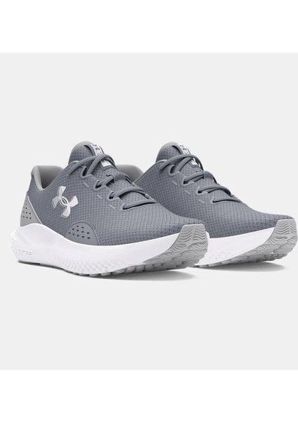 Erkek Ua Charged Surge 4 Koşu Ayakkabısı 3027000-101 indirimleri