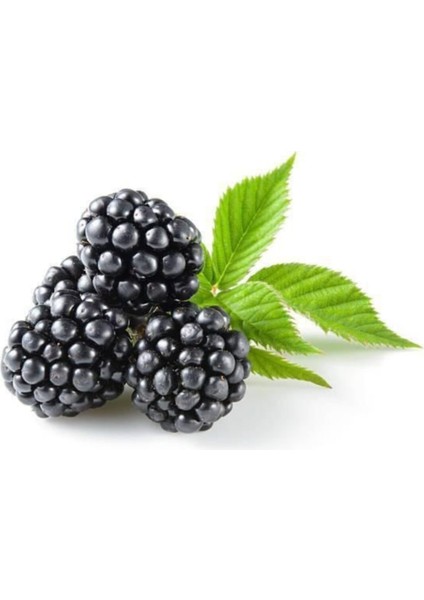 Ithal Nadir Tropikal Ahududu Tohumu Ahu Dudu Kara Böğürtlen Tohum 5 Adet Tohum