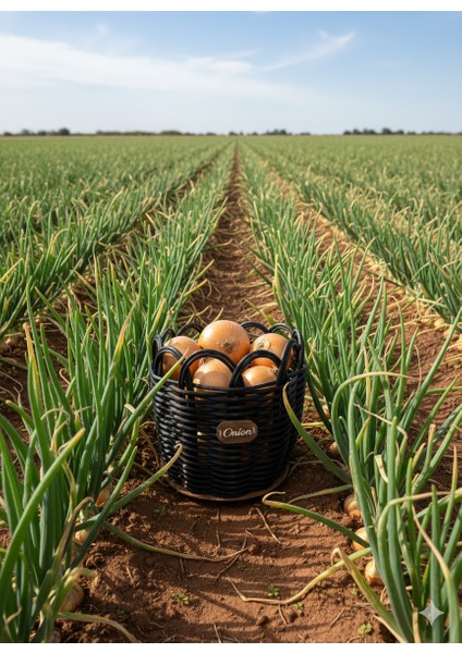 Raddancore Küçük Boy Soğanlık/soğan Sepeti fırsatları