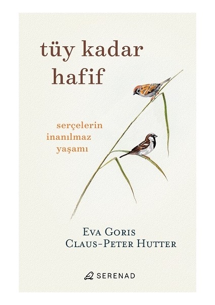 Tüy Kadar Hafif
