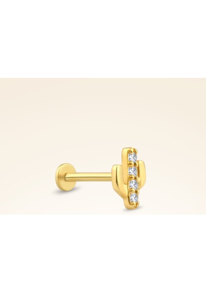 0,04 Karat Pırlanta Taşlı Kaktüs Piercing fiyatları