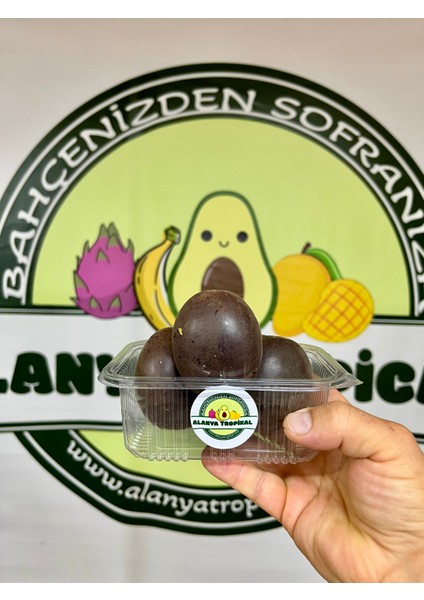 Pasiflora Çarkıfelek Meyvesi