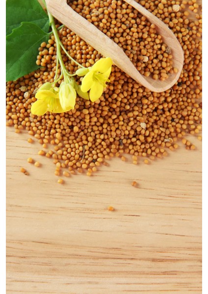 Sarı Hardal Tohumu Deluxe Seri Organik Lezzetli 300 gr modelleri