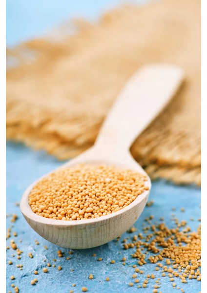 Sarı Hardal Tohumu Deluxe Seri Organik Lezzetli 300 gr fırsatları