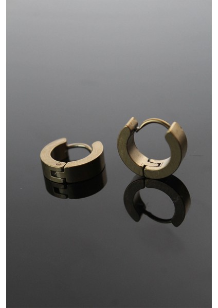 Bfs 316L Çelik Gold Renk Halka Model Çift Küpe