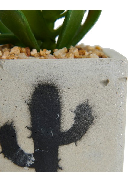 Beton Saksıda Yapay Sukulent - Asorti - 7X10 cm modelleri