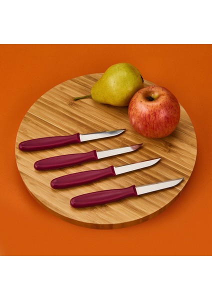 4'lü Meyve Bıçağı - Asorti - 20 cm