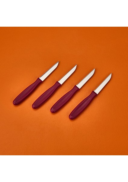 4'lü Meyve Bıçağı - Asorti - 20 cm fiyatları