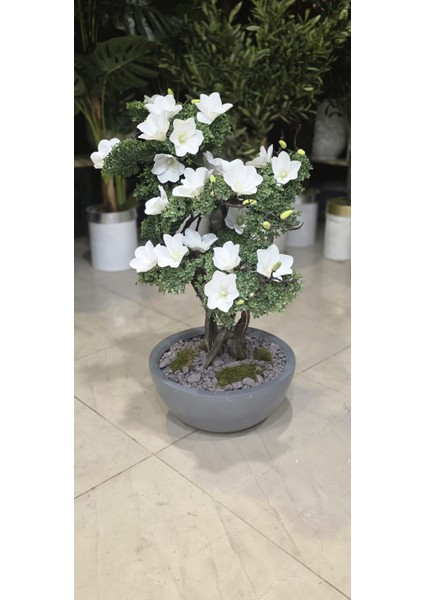 Antrasit Yarım Küre Karbonfiber Saksıda Çiçeklibonsai