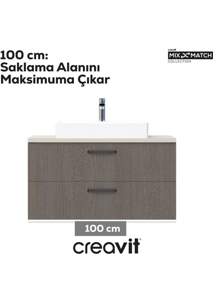 D10 Next Lavabo Dolabı Iki Çekmeceli 100 cm Dafne Gövde Antrasit Meşe modelleri