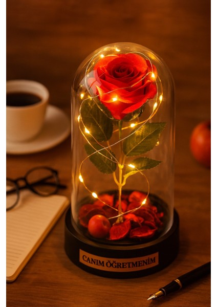 Canım Öğretmenim Temalı Öğretmene Hediye LED Işıklı Mika Fanus Kırmızı Yapma Solmayan Gül modelleri