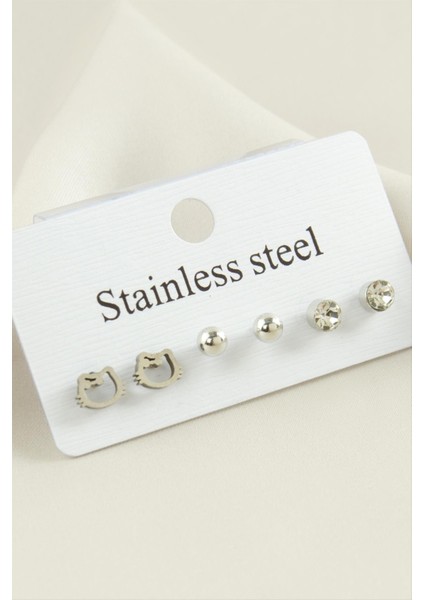 6 Adet Kedi Taşlı Çelik Küpe