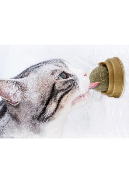 Kedi Otu Oyun Topu fırsatları