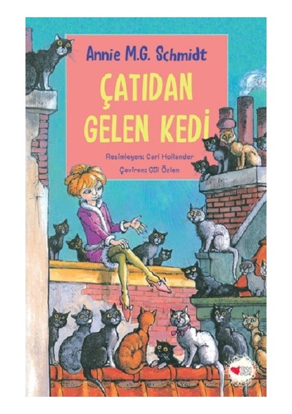 Çatıdan Gelen Kedi