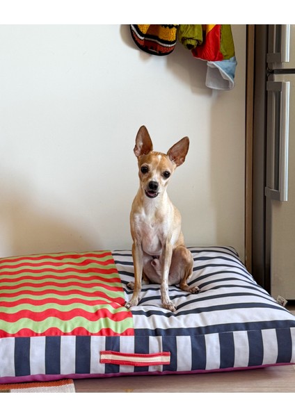 Journy Minder Kedi ve Köpek Yatağı modelleri