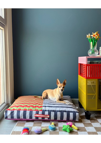 Journy Minder Kedi ve Köpek Yatağı fırsatları