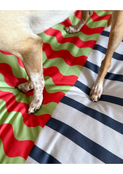 Journy Minder Kedi ve Köpek Yatağı