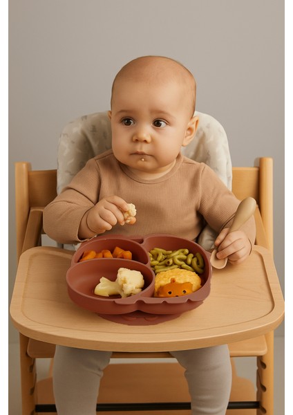 5'li Silikon Set / Bölmeli Mama Tabağı / Kase / Bardak / Diş Kaşıyıcı / Mama Kaşığı - Kiremit Rengi modelleri