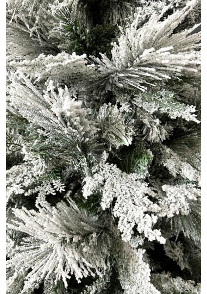 Yılbaşı Çam Ağacı Kendinden Karlı 180 cm 589 Yoğun Dallı Lüks Yılbaşı Ağacı modelleri