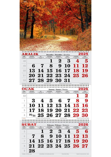 2026 Yılı Gemici Takvimi- Sonbahar ve Ağaçlı Yol