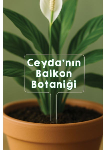 Kişiye Özel Isim Kelime Yazılı Uv Baskılı Şeffaf Dekoratif Pleksi Saksı Süsü - Tasarım 4
