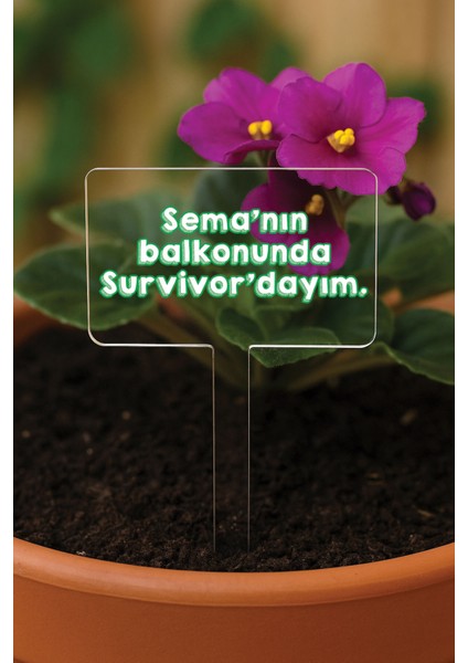 Kişiye Özel Isim Kelime Yazılı Uv Baskılı Şeffaf Dekoratif Pleksi Saksı Süsü - Tsrm 21