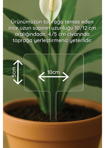 Kişiye Özel Isim Kelime Yazılı Uv Baskılı Şeffaf Dekoratif Pleksi Saksı Süsü - Tsrm 21 fırsatları