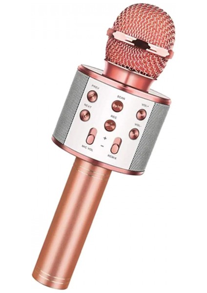 Bluetooth Karaoke Mikrofon (5324)