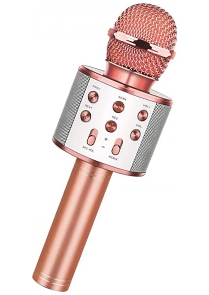 Bluetooth Karaoke Mikrofon (5324) fiyatları