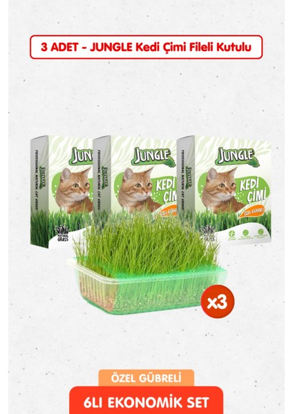 3 Adet Özel Gübreli %100 Doğal Kedi Çimi Fileli ve Kutulu Tüy Yumağı Önleyici