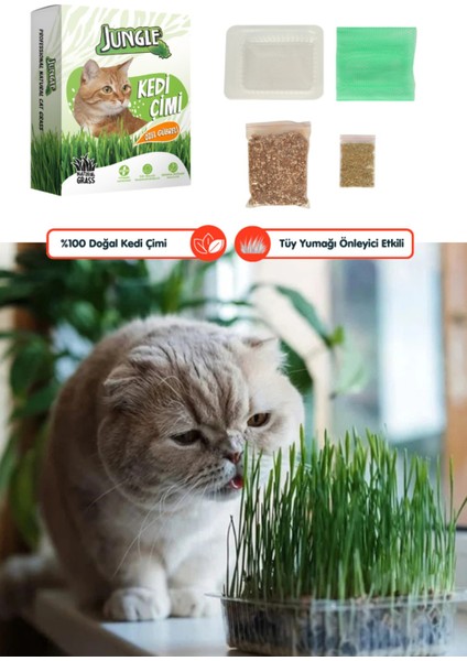 3 Adet Özel Gübreli %100 Doğal Kedi Çimi Fileli ve Kutulu Tüy Yumağı Önleyici fiyatları