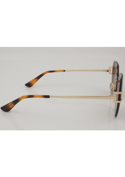 Ds 2462 C2 59 - 01 Güneş Gözlüğü fırsatları