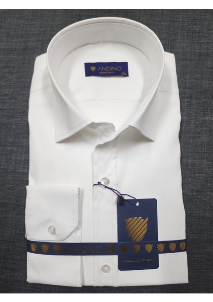 Regularfit Beyaz Erkek Gömlek Likralı Esnek Kumaş Yaka Alttan Düğmeli AR0720710-01 fiyatları