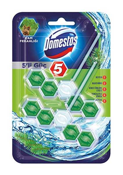 2 Adet Domestos Wc Temizleyici Blok 2x5'li Güç Çam Ferahlığı