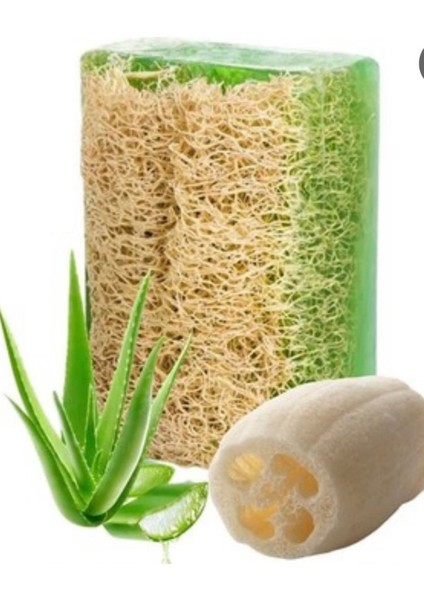 Sabun Saklama Çantalı Kabak Lifli Aloe Vera Sabunu fiyatları