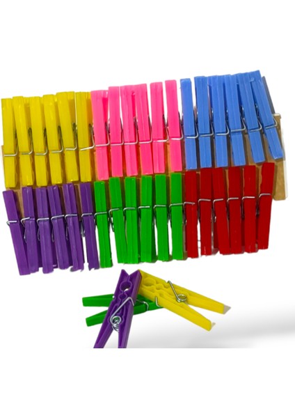 144'LÜ Çamaşır Mandalı Karanfil ROYALEKS-L016